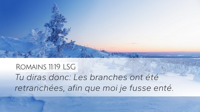 Romains 11:19 LSG Bible Verse Image