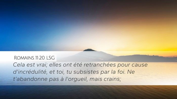 Romains 11:20 LSG Bible Verse Image