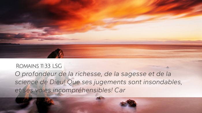 Romains 11:33 LSG Bible Verse Image