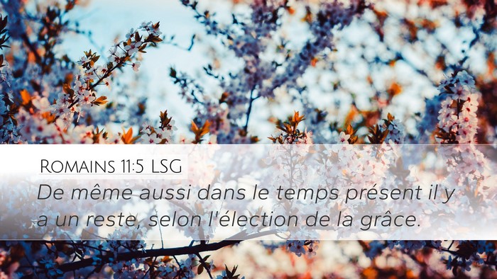 Romains 11:5 LSG Bible Verse Image