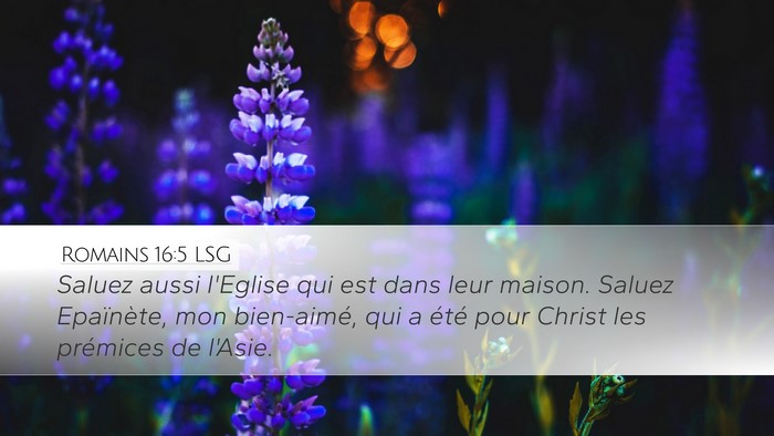 Romains 16:5 LSG Bible Verse Image