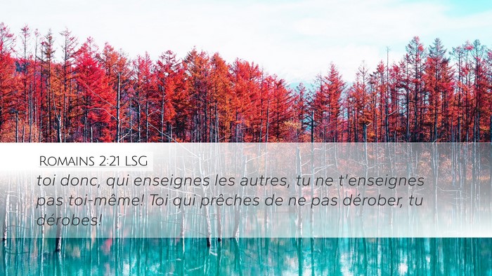 Romains 2:21 LSG Bible Verse Image