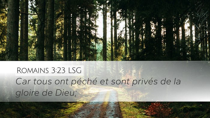 Romains 3:23 LSG Bible Verse Image