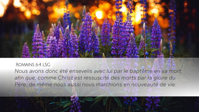 Romains 6:4 LSG Bible Verse Image