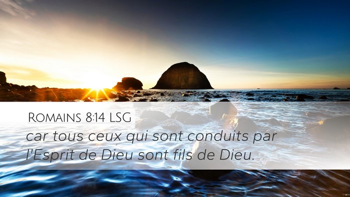 Romains 8:14 LSG Bible Verse Image