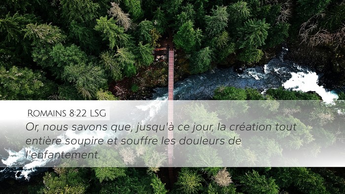 Romains 8:22 LSG Bible Verse Image