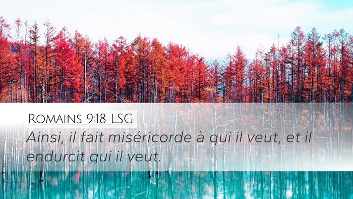 Romains 9:18 LSG Bible Verse Image