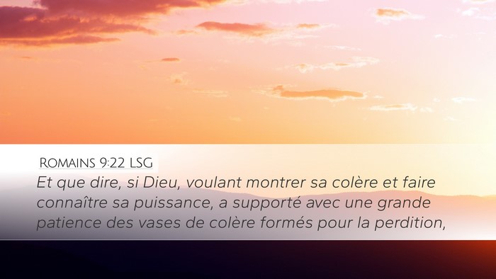 Romains 9:22 LSG Bible Verse Image