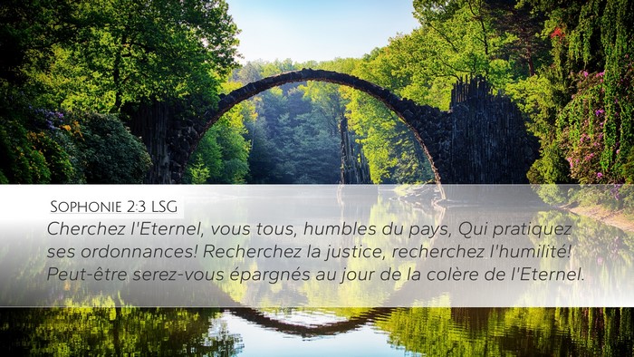 Sophonie 2:3 LSG Bible Verse Image