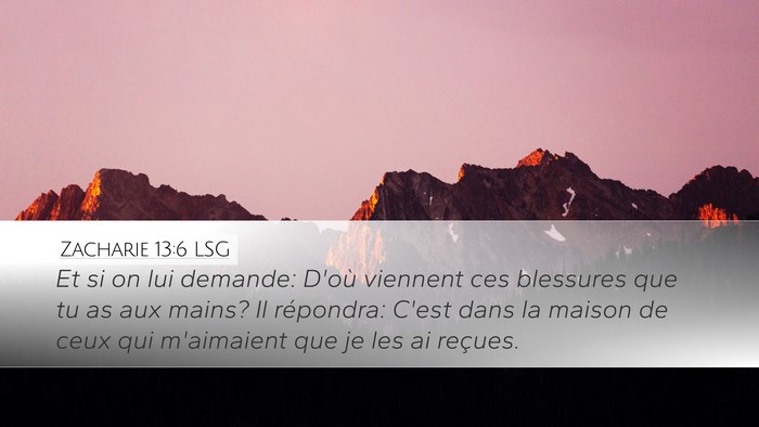 Zacharie 13:6 LSG Desktop Wallpaper - Et si on lui demande: D'où viennent ces - Desktop Bible Verse Wallpaper