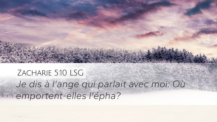 Zacharie 5:10 LSG Bible Verse Image