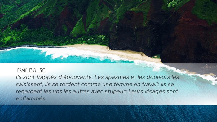 Ésaïe 13:8 LSG Bible Verse Image