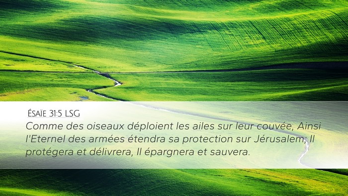 Ésaïe 31:5 LSG Bible Verse Image
