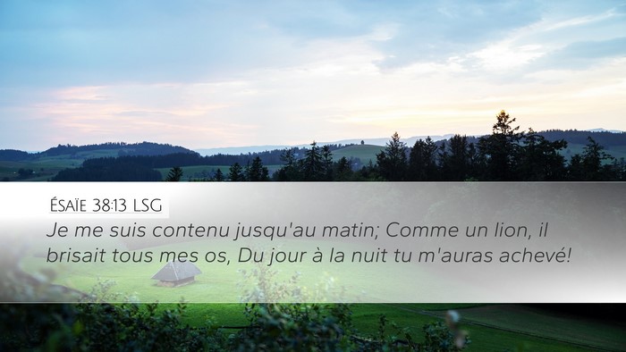 Ésaïe 38:13 LSG Bible Verse Image