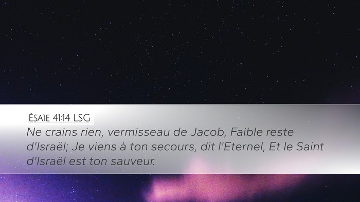Ésaïe 41:14 LSG Bible Verse Image
