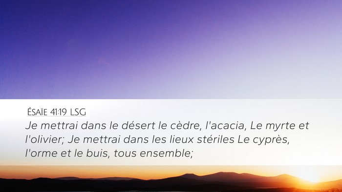 Ésaïe 41:19 LSG Bible Verse Image