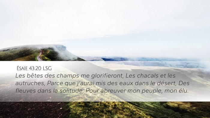 Ésaïe 43:20 LSG Bible Verse Image