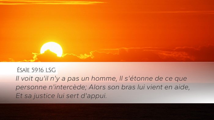 Ésaïe 59:16 LSG Bible Verse Image