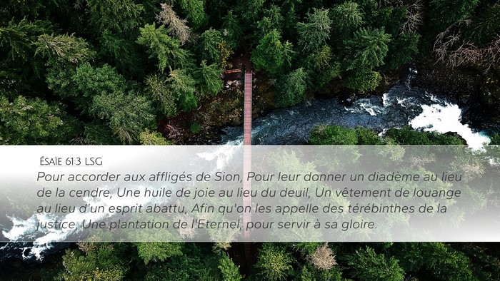 Ésaïe 61:3 LSG Bible Verse Image