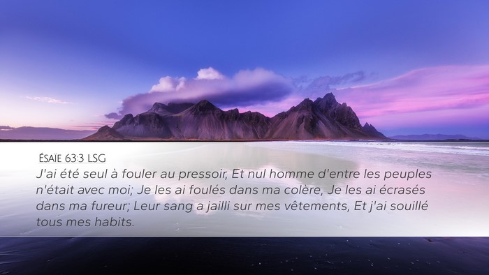 Ésaïe 63:3 LSG Bible Verse Image