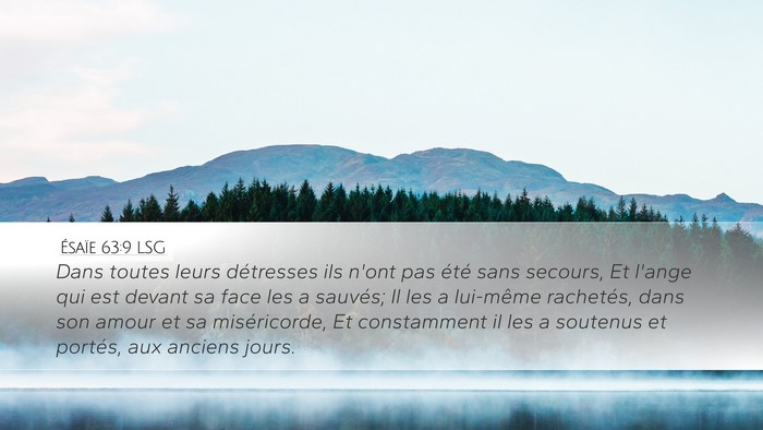 Ésaïe 63:9 LSG Bible Verse Image