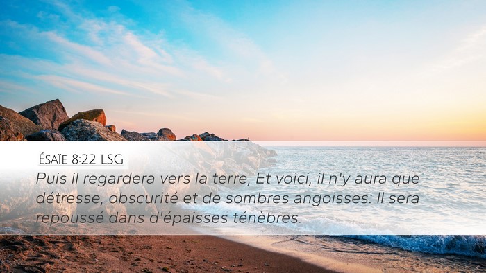 Ésaïe 8:22 LSG Bible Verse Image