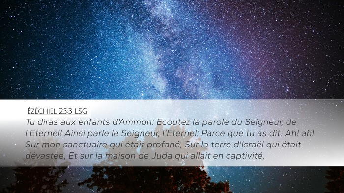 Ézéchiel 25:3 LSG Bible Verse Image