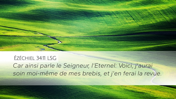 Ézéchiel 34:11 LSG Bible Verse Image