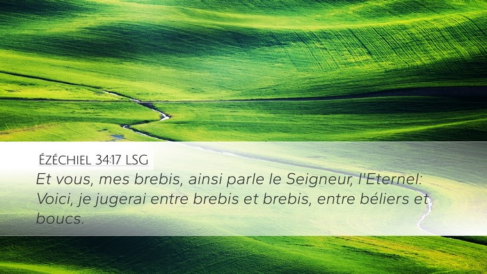 Ézéchiel 34:17 LSG Bible Verse Image