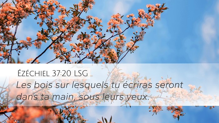 Ézéchiel 37:20 LSG Bible Verse Image
