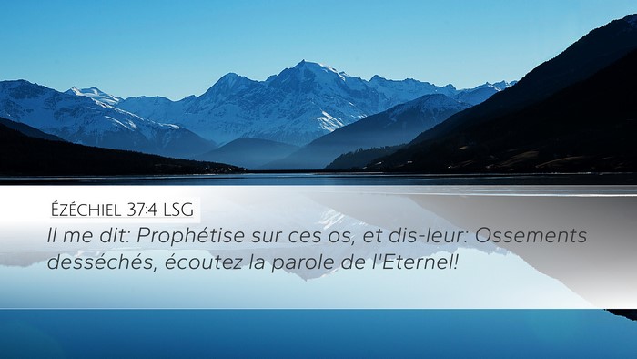 Ézéchiel 37:4 LSG Bible Verse Image