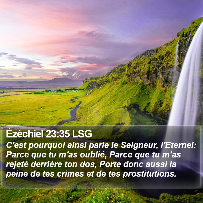 Ézéchiel 23:35 LSG - C'est pourquoi ainsi parle le Seigneur,
