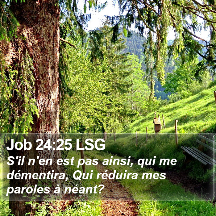 Job 24:25 LSG - S'il n'en est pas ainsi, qui me démentira, Qui