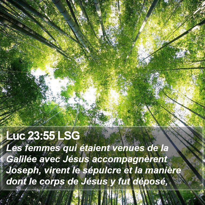 Luc 23:55 LSG - Les femmes qui étaient venues de la Galilée