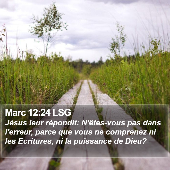 Marc 12:24 LSG - Jésus leur répondit: N'êtes-vous pas dans