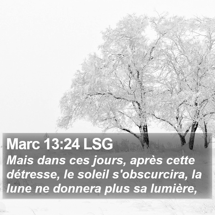 Marc 13:24 LSG - Mais dans ces jours, après cette détresse, le