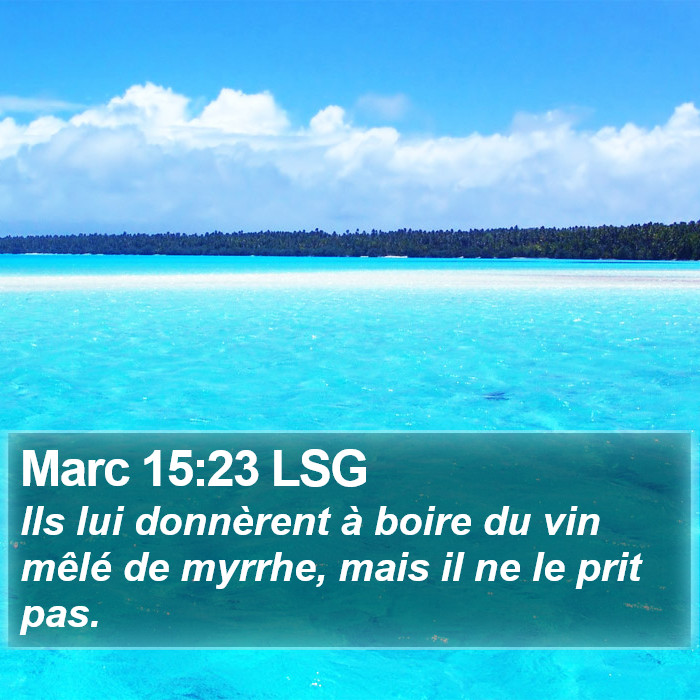 Marc 15:23 LSG - Ils lui donnèrent à boire du vin mêlé de