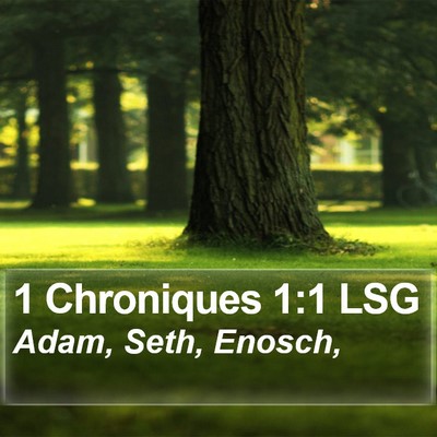 1 Chroniques 1:1 LSG Bible Verse Image