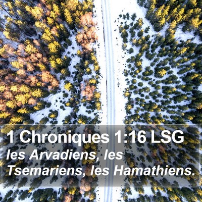 1 Chroniques 1:16 LSG Bible Verse Image