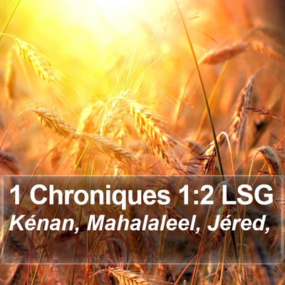 1 Chroniques 1:2 LSG Bible Verse Image