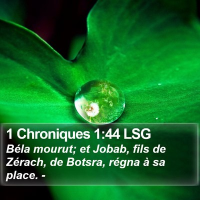 1 Chroniques 1:44 LSG Bible Verse Image