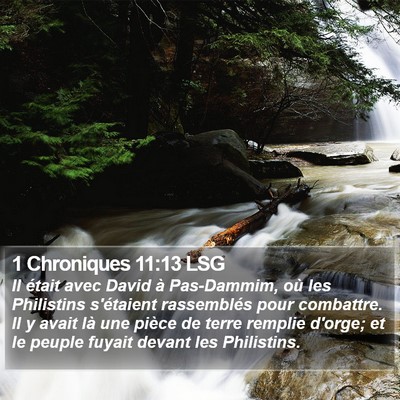 1 Chroniques 11:13 LSG Bible Verse Image