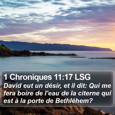 1 Chroniques 11:17 LSG Bible Verse Image