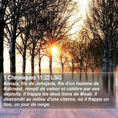 1 Chroniques 11:22 LSG Bible Verse Image