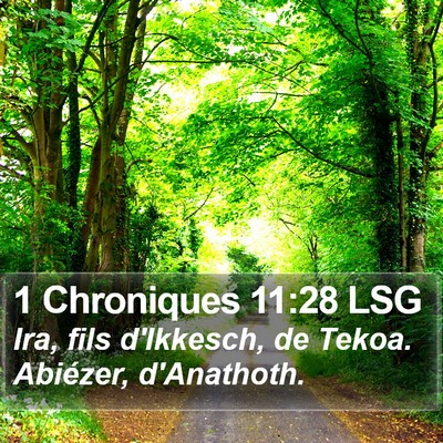 1 Chroniques 11:28 LSG Bible Verse Image
