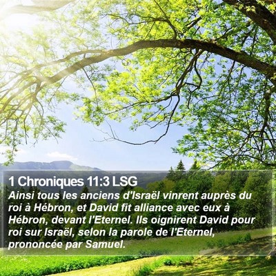 1 Chroniques 11:3 LSG Bible Verse Image