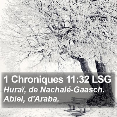 1 Chroniques 11:32 LSG Bible Verse Image