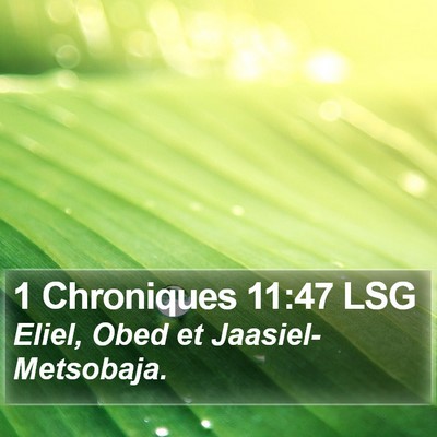 1 Chroniques 11:47 LSG Bible Verse Image