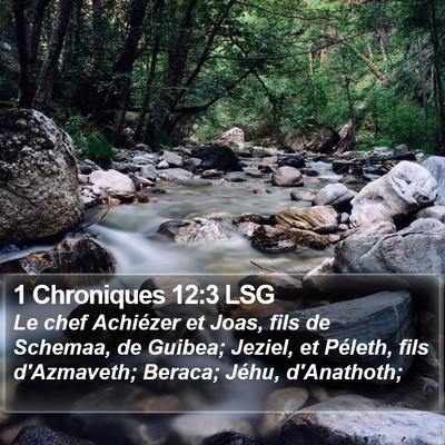 1 Chroniques 12:3 LSG Bible Verse Image