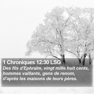 1 Chroniques 12:30 LSG Bible Verse Image